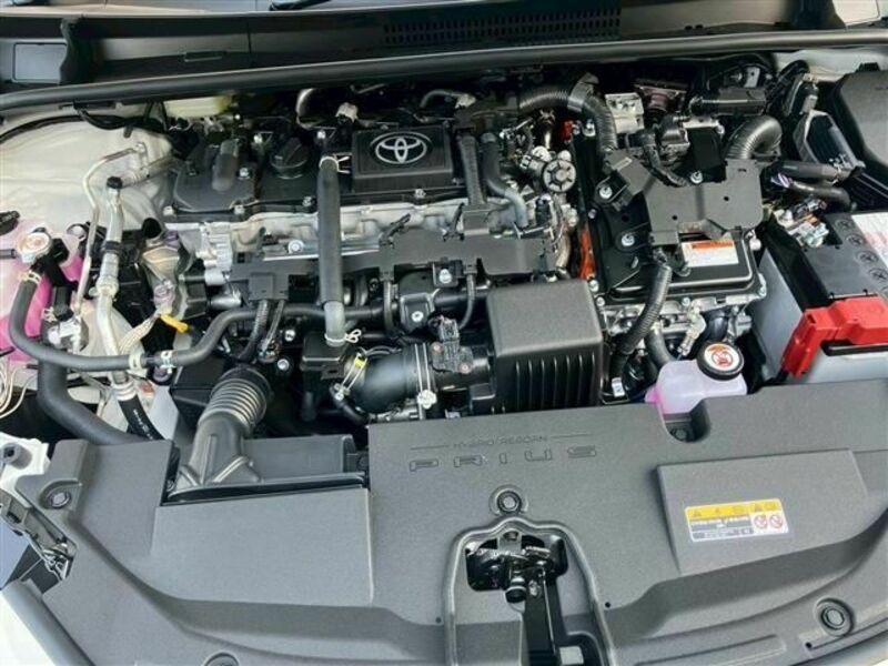 PRIUS-21