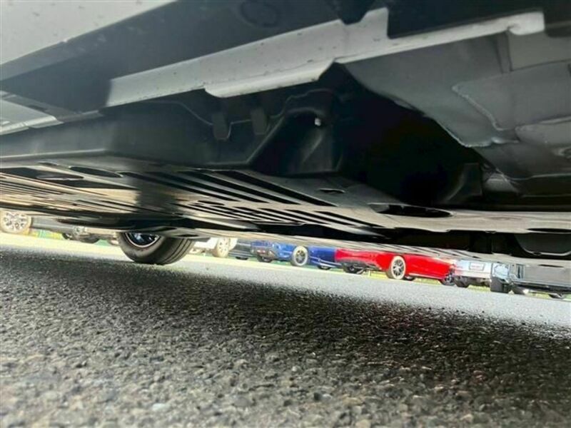 PRIUS-25