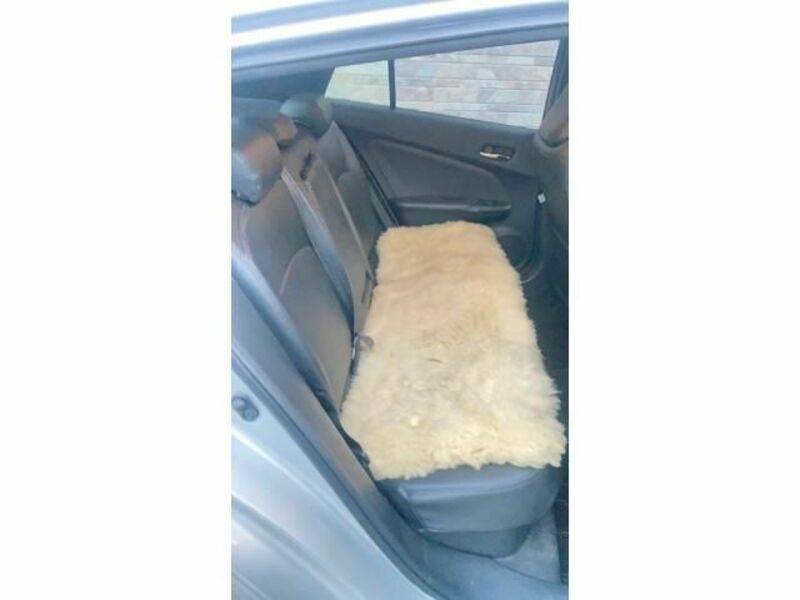 PRIUS-18