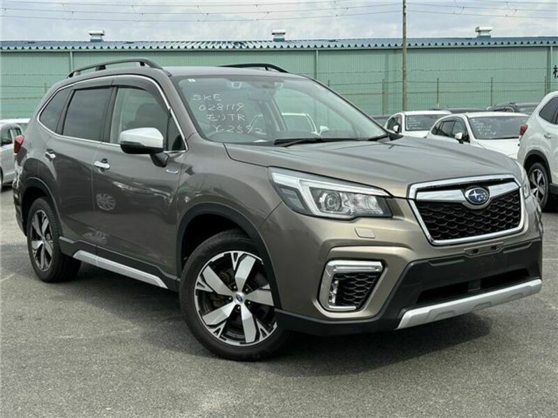 FORESTER
