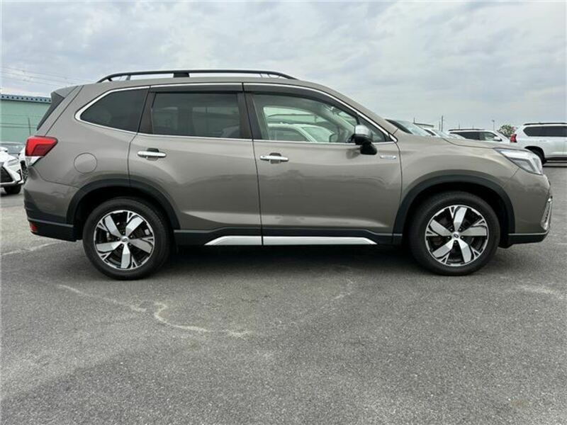 FORESTER