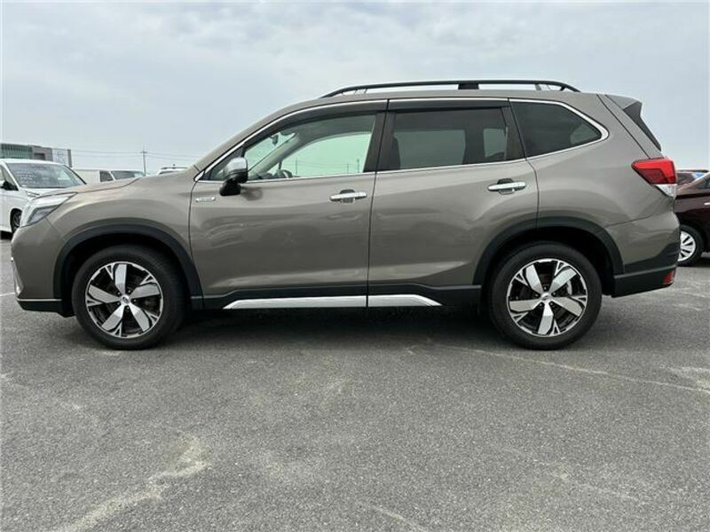 FORESTER