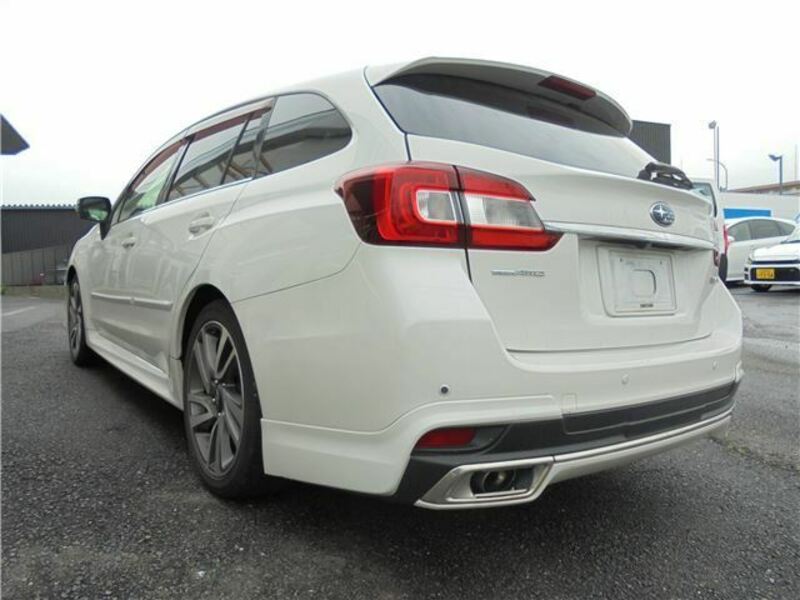 LEVORG-1
