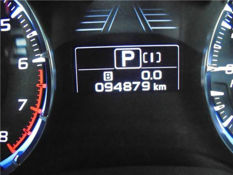 LEVORG-25