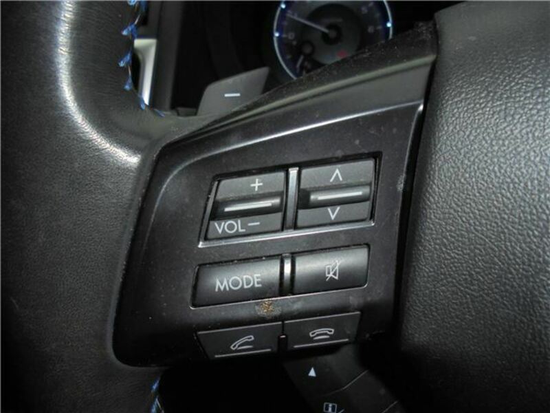 LEVORG-33