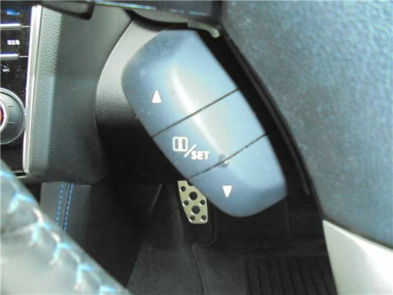 LEVORG-34