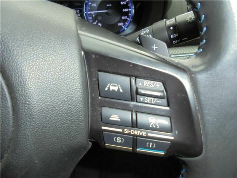 LEVORG-35