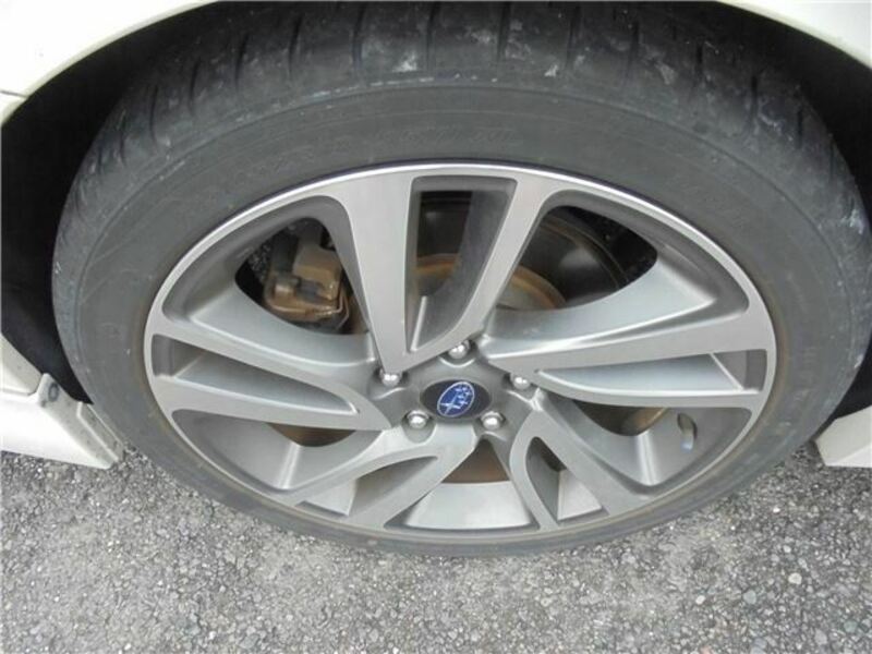 LEVORG-43