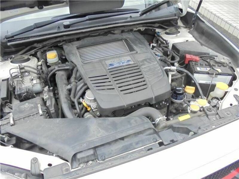 LEVORG-48