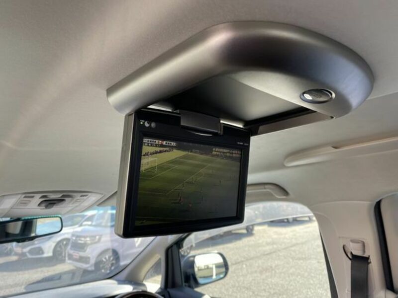 ALPHARD-16
