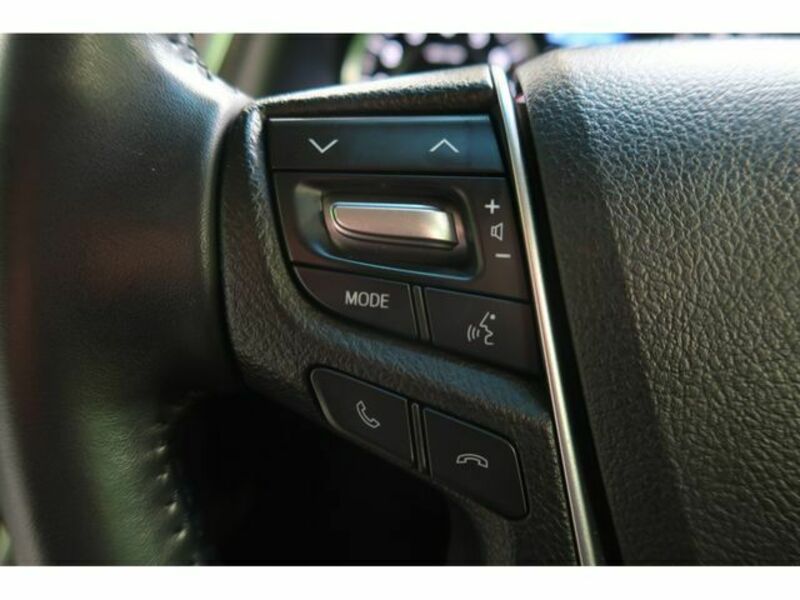 ALPHARD-10