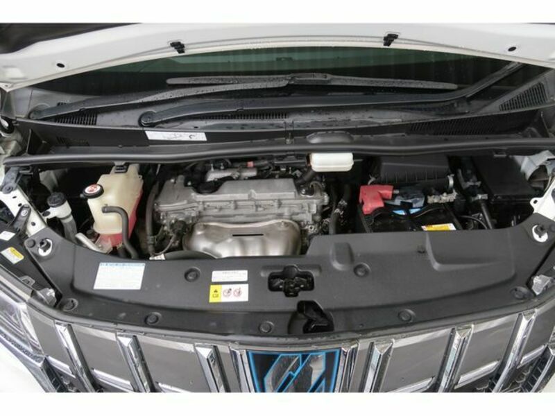 ALPHARD-19