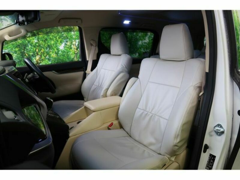 ALPHARD-22