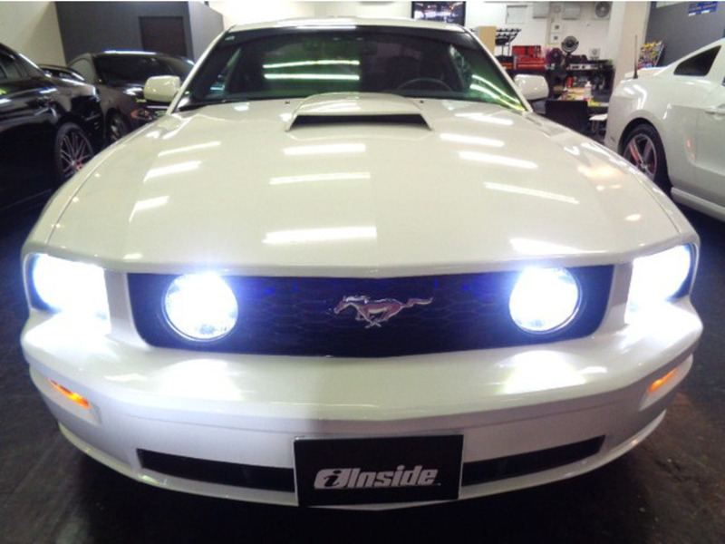 MUSTANG