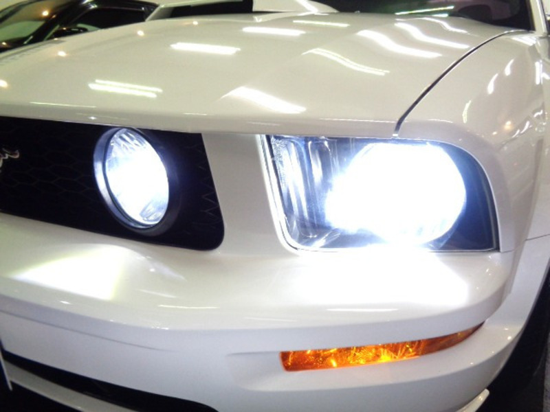 MUSTANG
