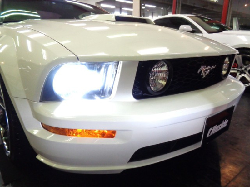 MUSTANG
