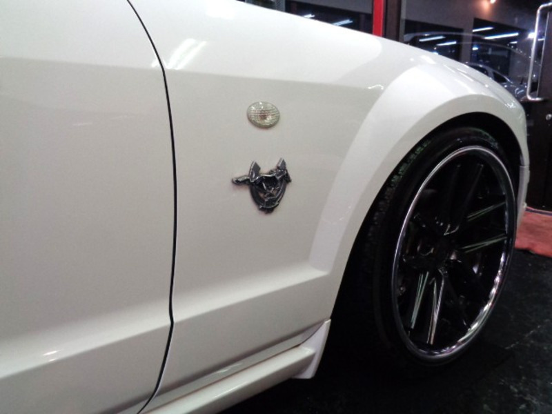 MUSTANG