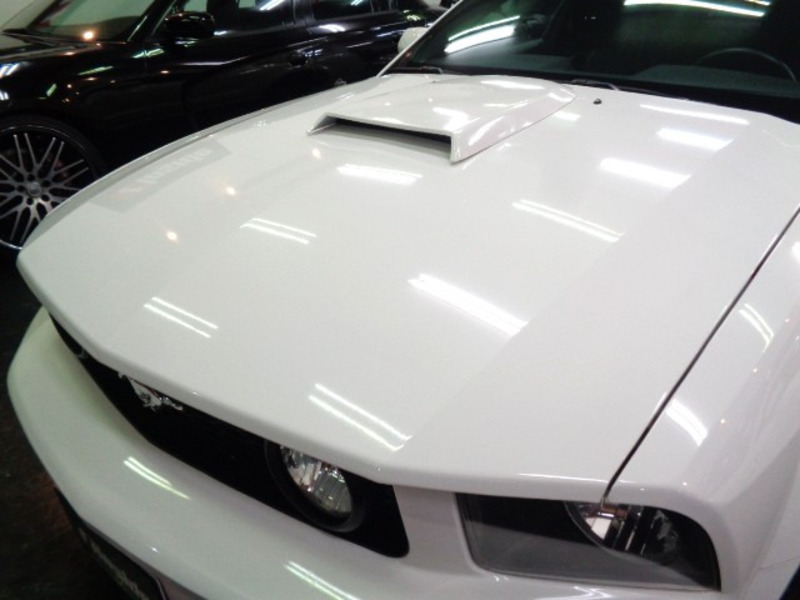 MUSTANG