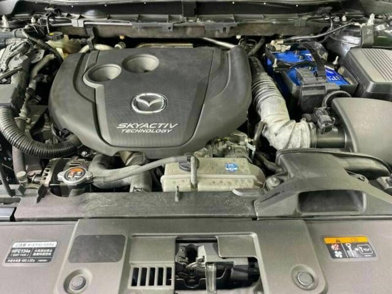 CX-5-17