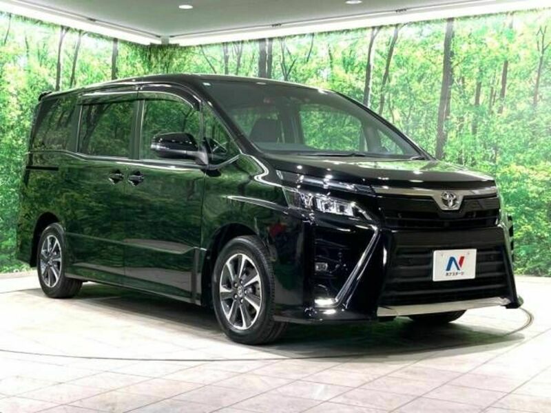 VOXY-17