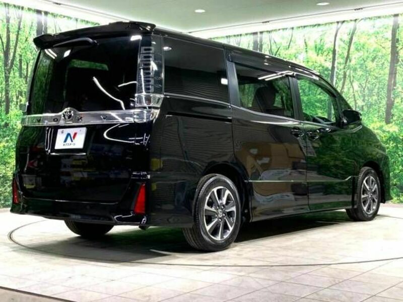 VOXY-18