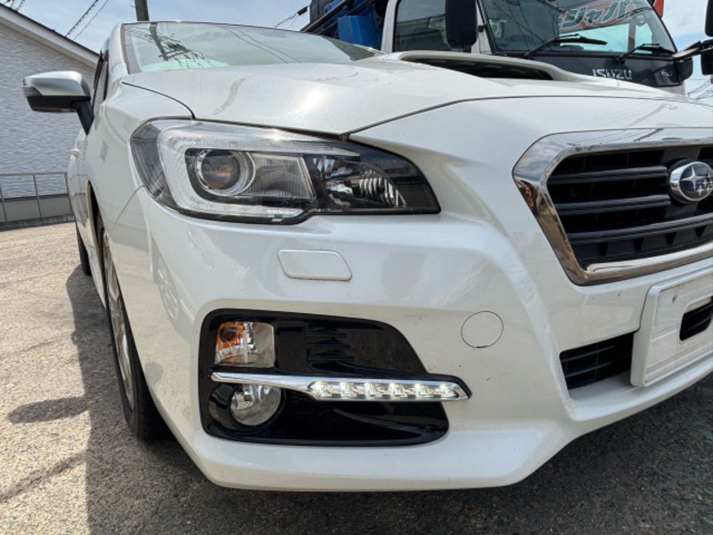 LEVORG