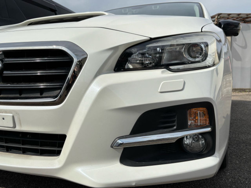 LEVORG-3