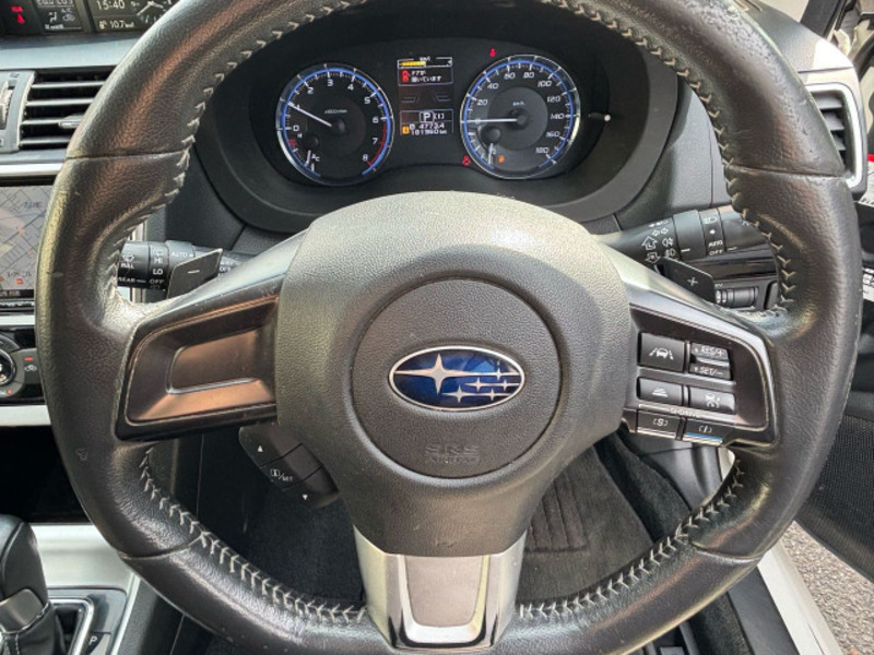 LEVORG-19