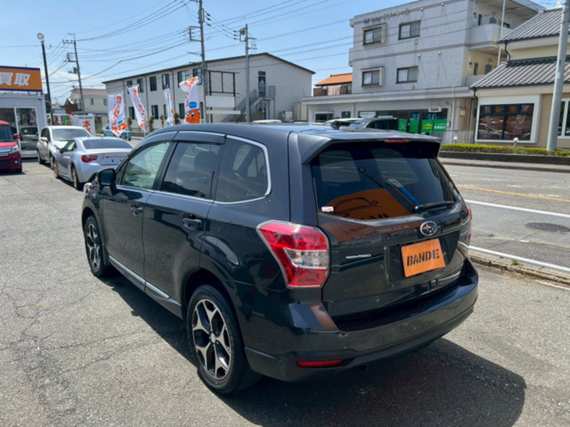 FORESTER-12