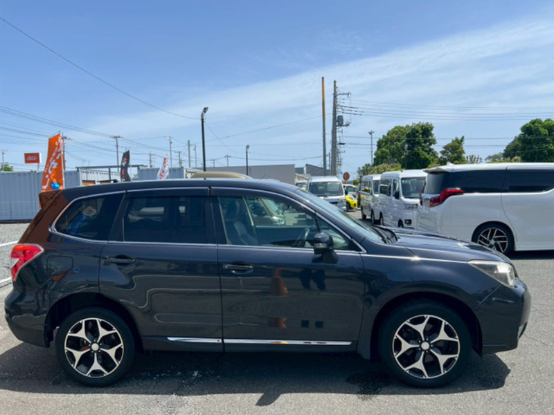 FORESTER-10