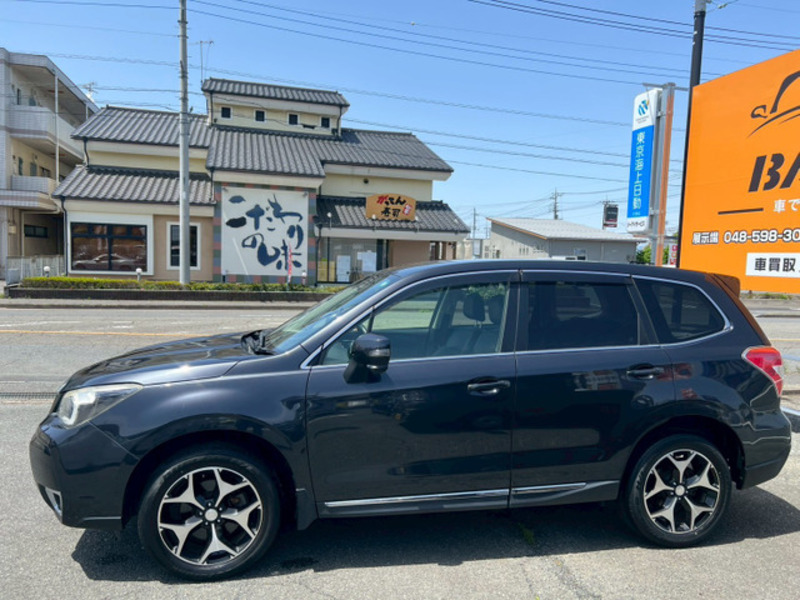 FORESTER-9
