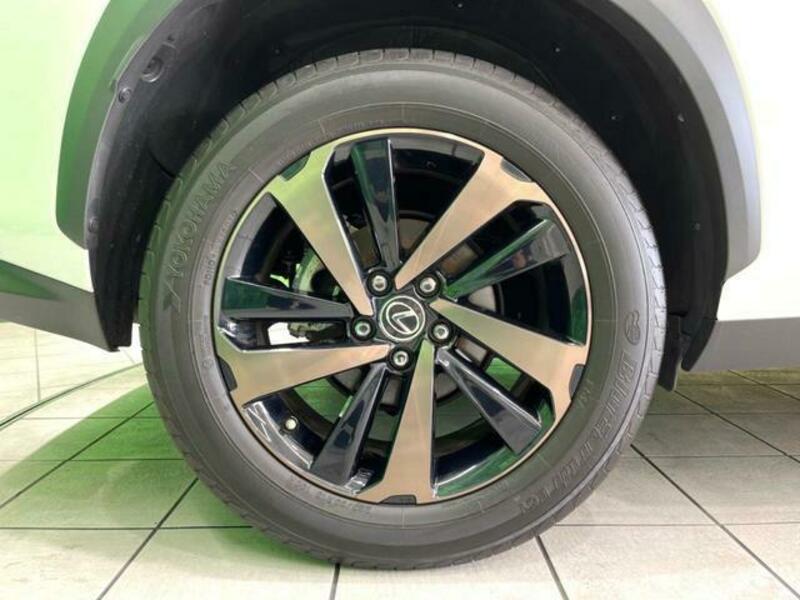 NX