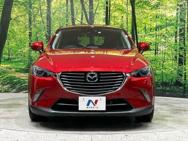 CX-3-13