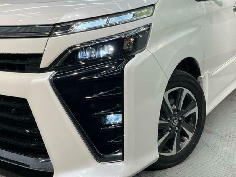 VOXY-12