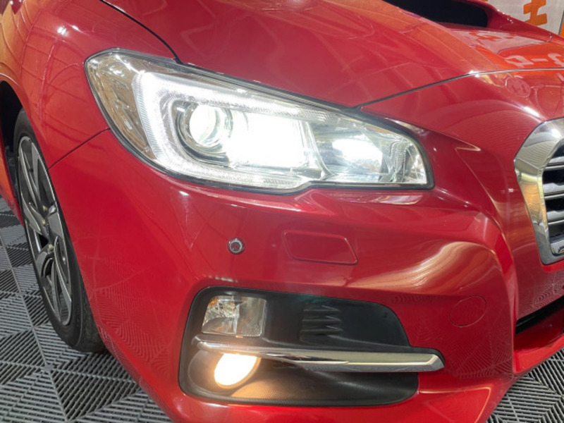 LEVORG