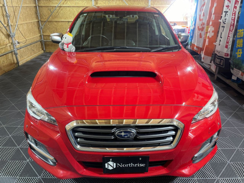 LEVORG