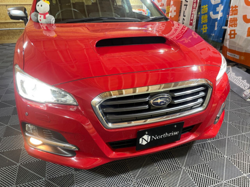 LEVORG
