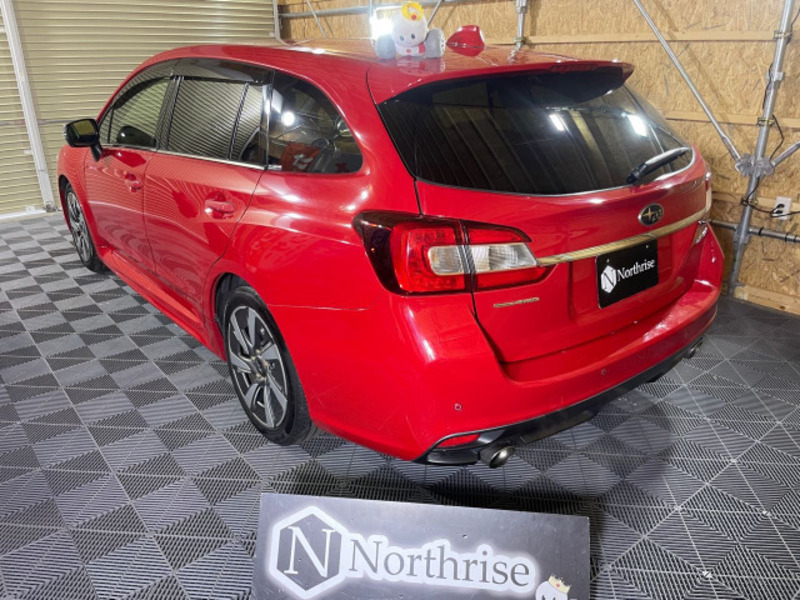 LEVORG