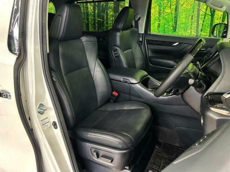 ALPHARD-6