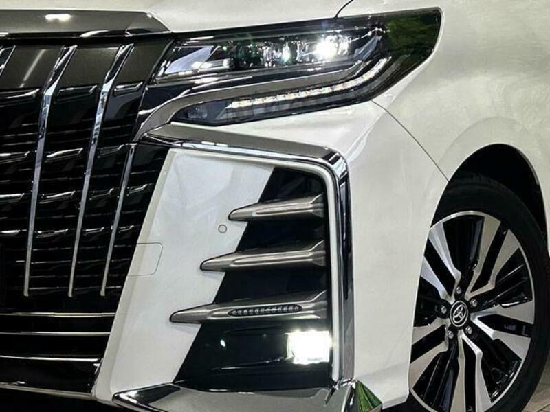 ALPHARD-11