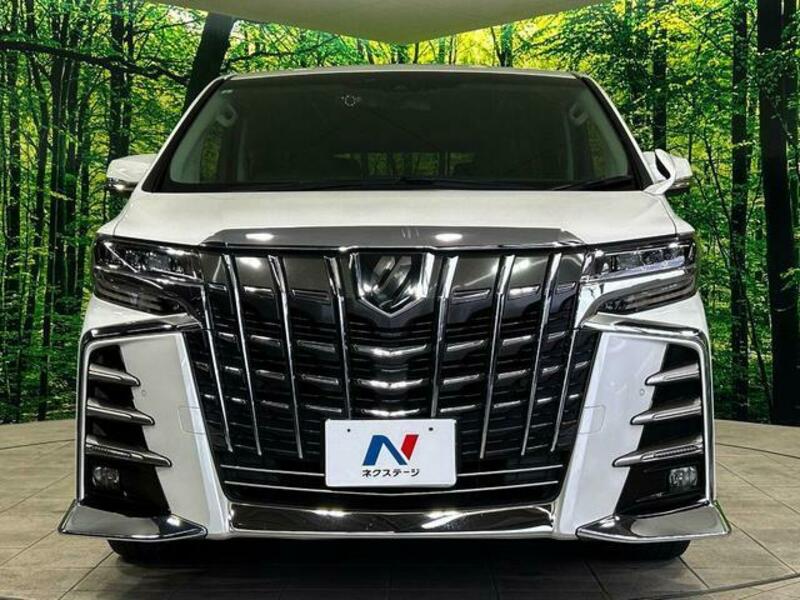 ALPHARD-13