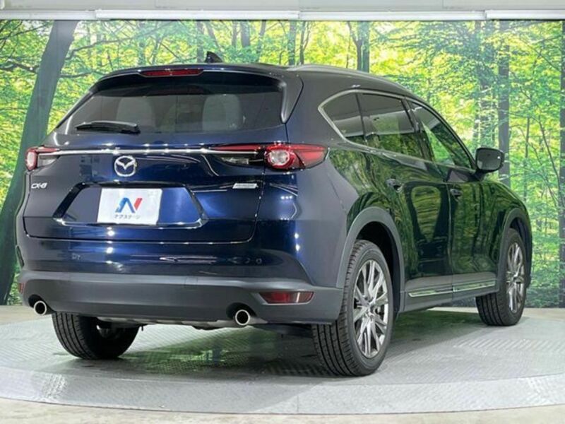 CX-8