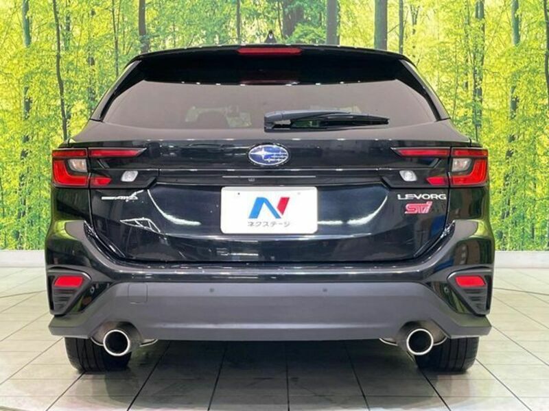 LEVORG