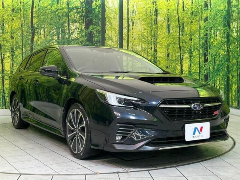 LEVORG