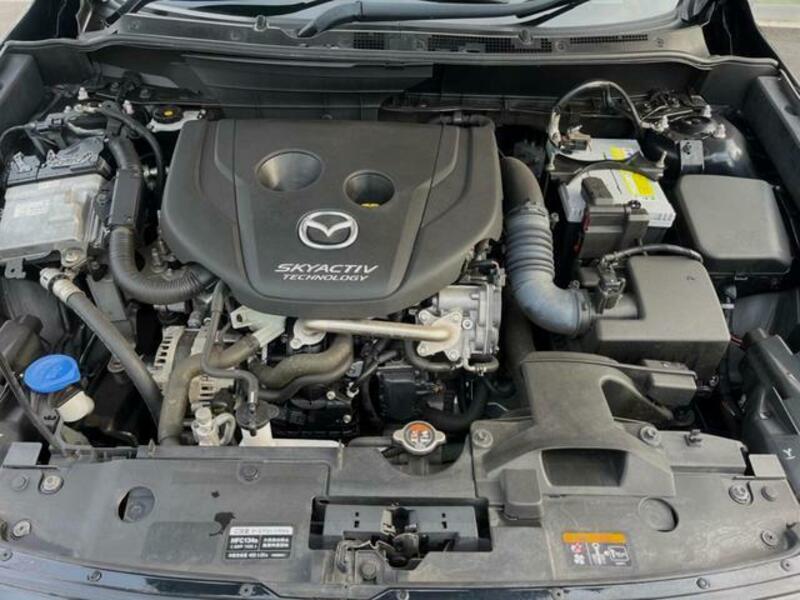 CX-3-18