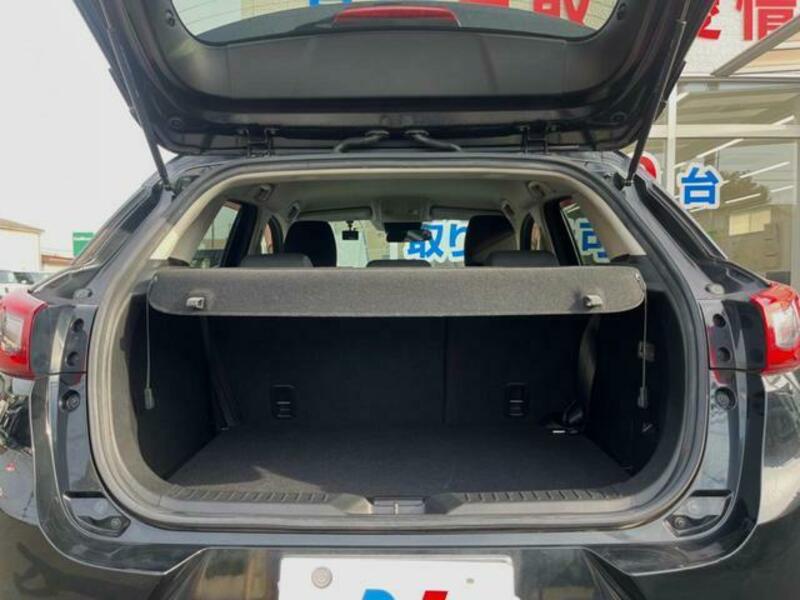CX-3-10