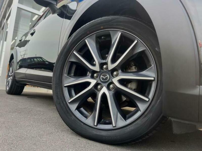 CX-3-13