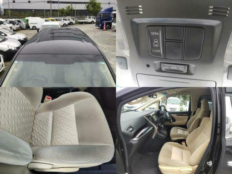 ALPHARD-6