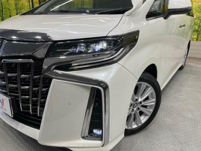 ALPHARD-12