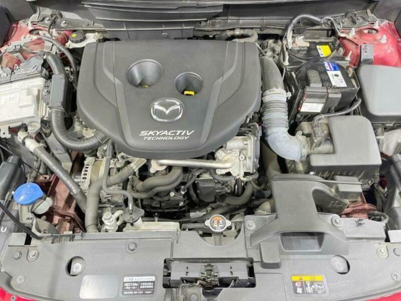 CX-3-17